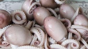 网红八爪鱼吃瓜爆料,揭秘网红圈幕后风云