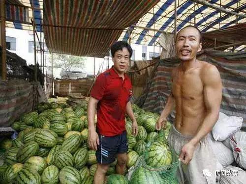 武都网红吃瓜事件真相,真相背后的网络狂欢与反思