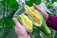 山东网红吃瓜,揭秘网络热点的背后故事