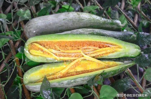 丽水银泰吃瓜网红,揭秘网络红人的幕后真相