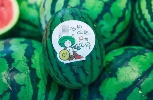 吃瓜图片网红男孩