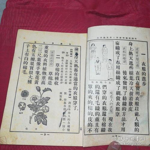 穿到民国吃瓜看戏txt宝书网