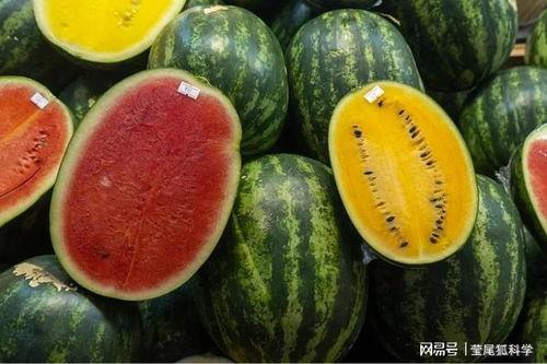 下沙网红吃瓜事件真相,真相背后的网络狂欢与反思