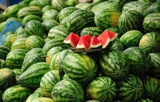 康县网红吃瓜事件真相,真相背后的网络风波