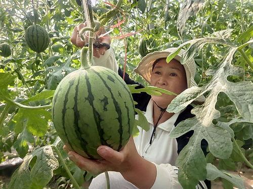 济南小网红吃瓜群微信,揭秘网络红人幕后趣闻