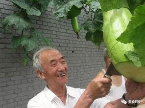 吃瓜网砍一刀,揭秘网络舆论背后的真相