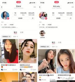 吃瓜网红下海视频大全,吃瓜网红下海视频大全，揭秘幕后真相