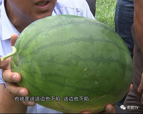 百姓吃瓜网,揭秘娱乐圈幕后故事，带你领略真实娱乐圈