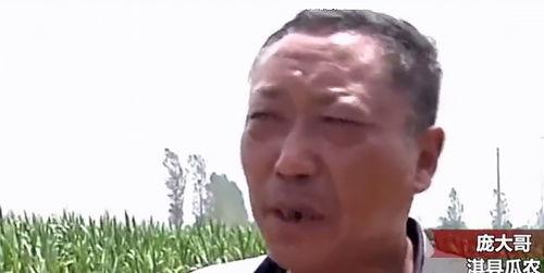 光头网红吃瓜最新事件,揭秘娱乐圈最新热点事件