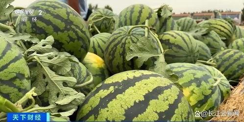 网络热门吃瓜网,揭秘娱乐圈幕后真相，带你领略网络舆论风云