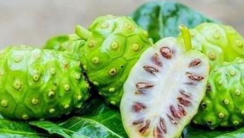 大广51吃瓜黑料网,网络舆论场中的真相与争议