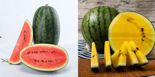 网课吃瓜有用吗,吃瓜也能学知识？揭秘“吃瓜”背后的学习奥秘