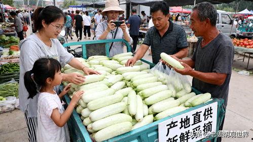 临沂网红吃瓜现场,揭秘网络红人幕后故事