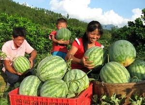 永年网红吃瓜是谁啊视频,视频背后的故事与影响力