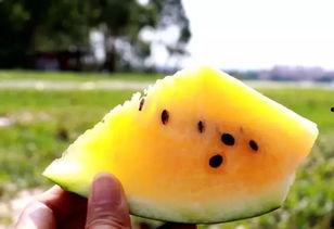 吃瓜网黄色,一场关于黄色内容的网络风波