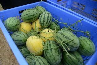 新沂网红吃瓜群微信号,揭秘当地热门话题，带你领略新沂网络文化风采”