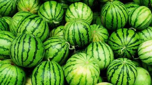 网暴的吃瓜视频,揭秘吃瓜视频背后的真相