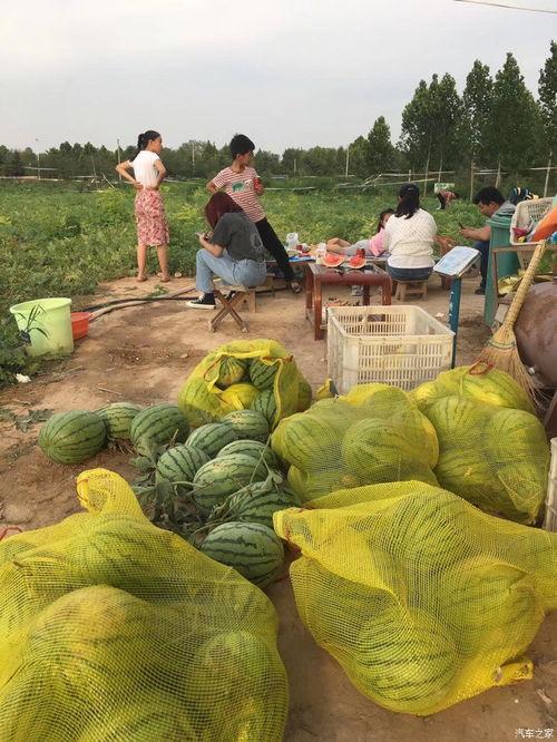 车友吃瓜网,揭秘汽车圈那些不为人知的幕后故事