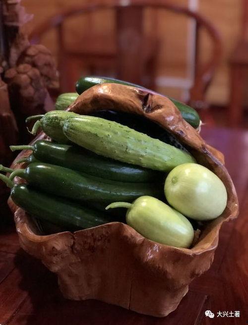 网红小雪有什么瓜吃,独家爆料，精彩瓜料大公开！