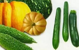 吃瓜是哪个平台的网红啊,她是哪个平台的流量担当？