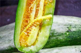 去哪里吃网红瓜好吃呢,解锁各地特色瓜果美味之旅