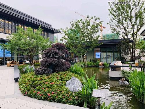 911吃瓜爆料官网地址,独家揭秘娱乐圈幕后真相