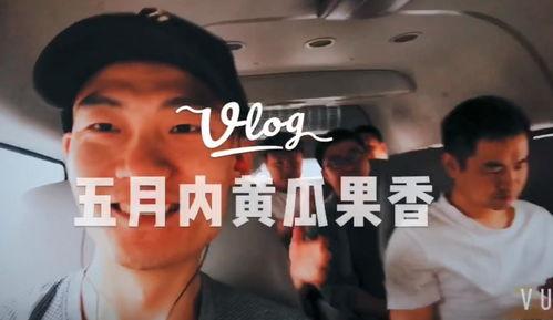 网红主播带你吃瓜视频大全,视频大全精彩回顾