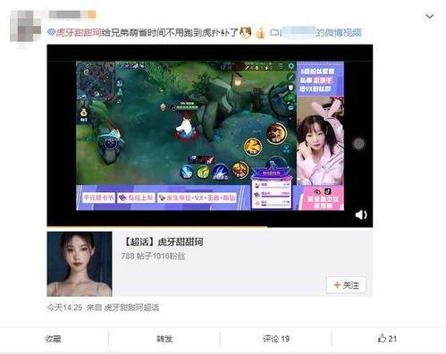 网红主播带你吃瓜视频大全,视频大全精彩回顾