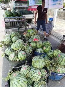 泉州网红吃瓜事件视频,一场网络热议的幕后真相揭秘