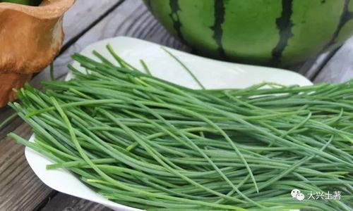 徽县吃瓜网红,揭秘当地美食文化新风尚