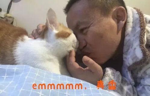 吃瓜猫抖音网红是谁,揭秘网红背后的故事与魅力”