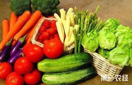 吃瓜网菜网红,揭秘网络美食界的明星风采