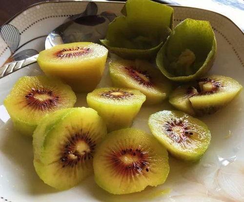 抖音网红吃瓜水果,一场视觉与味蕾的双重盛宴