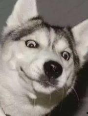 网红情侣吵架吃瓜图片,吃瓜群众围观热议！