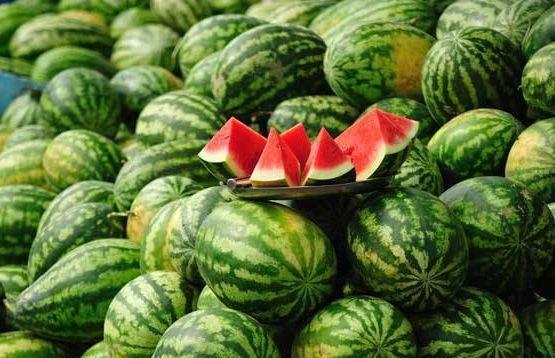 程女士吃瓜网每日大赛,每日大赛精彩回顾，揭秘幕后故事