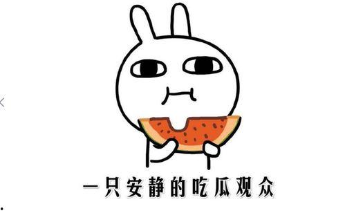 热门网红吃瓜网站,热门事件背后的真相与笑料