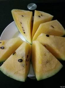 吃瓜专属论坛官网,畅享网络热议的狂欢盛宴