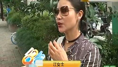 陇南网红直播吃瓜事件,一场网络舆论的风暴与反思