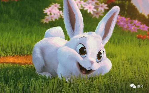 网红吃瓜兔事件最新进展,最新进展揭秘，真相逐渐浮出水面