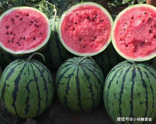 吃瓜网此免费,吃瓜网带你畅游明星幕后生活 第3张 吃瓜网此免费,吃瓜网带你畅游明星幕后生活 第3张