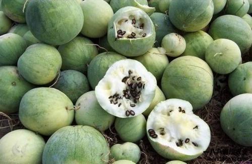 吃瓜网是全球,全球热点事件一网打尽