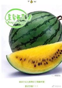 吃瓜网是全球,全球热点事件一网打尽 第2张 吃瓜网是全球,全球热点事件一网打尽 第2张