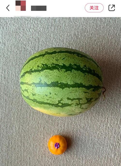 吃瓜网是全球,全球热点事件一网打尽 第3张 吃瓜网是全球,全球热点事件一网打尽 第3张