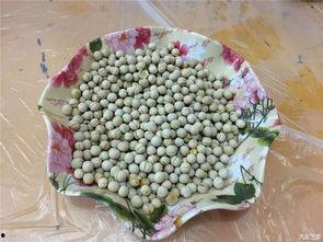 51吃瓜官网怎么 第1张 51吃瓜官网怎么 第1张