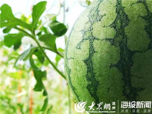 51吃瓜官网怎么 第2张 51吃瓜官网怎么 第2张