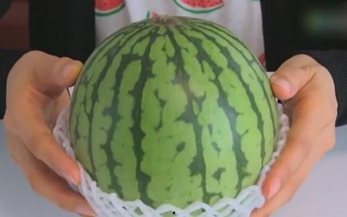 泡泡吃瓜网奇葩汇总,盘点那些让人捧腹大笑的奇葩汇总 第3张 泡泡吃瓜网奇葩汇总,盘点那些让人捧腹大笑的奇葩汇总 第3张