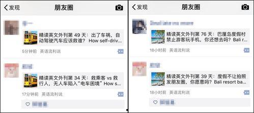 镇平网红吃瓜群微信号是什么,镇平网红吃瓜群微信号背后的神秘世界  第2张