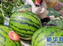 更多网红吃瓜爆料群,揭秘娱乐圈幕后真相  第3张