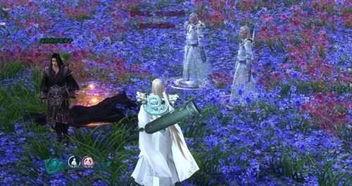 剑网3 花海吃瓜,花海吃瓜，揭秘江湖背后的甜蜜与苦涩  第2张