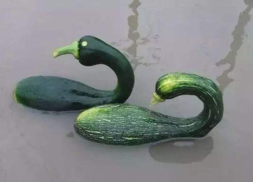 太古里网红吃瓜是谁啊视频  第3张